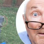 Der seltsame Fund in der Nähe des Baumes gab der