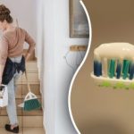Hausfrauen wurden aufgefordert, ihre Häuser mit Zahnpasta zu behandeln: Wozu