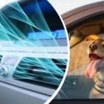 Hitzewelle in der Ukraine: Wie man den Innenraum eines Autos