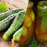 Wie man Gurken in Chili-Ketchup für den Winter einlegt: 3